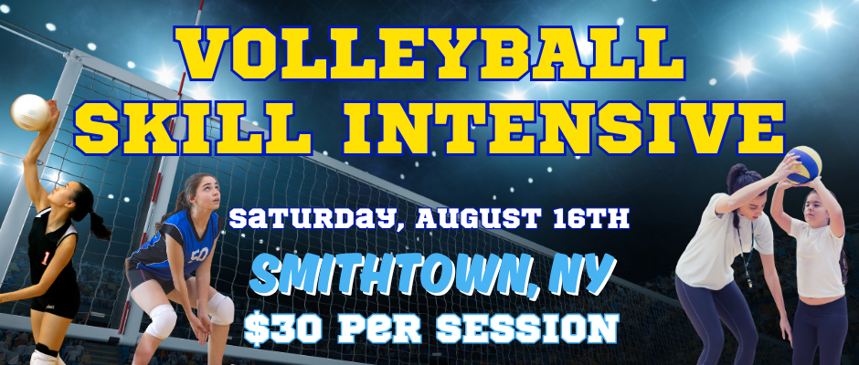 volleyball clinic one day skill intenstive