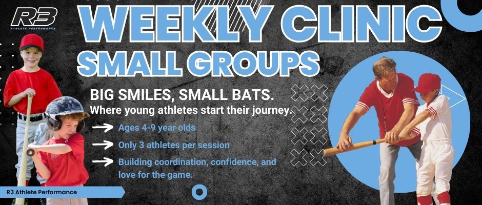 long island baseball clinic camp 4-9 year olds long island baseball clinic camp 4-9 year olds