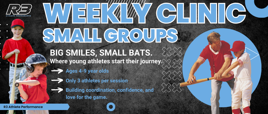 long island baseball clinic camp 4-9 year olds