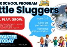 Little Sluggers long island activity toddler activities near me (1)